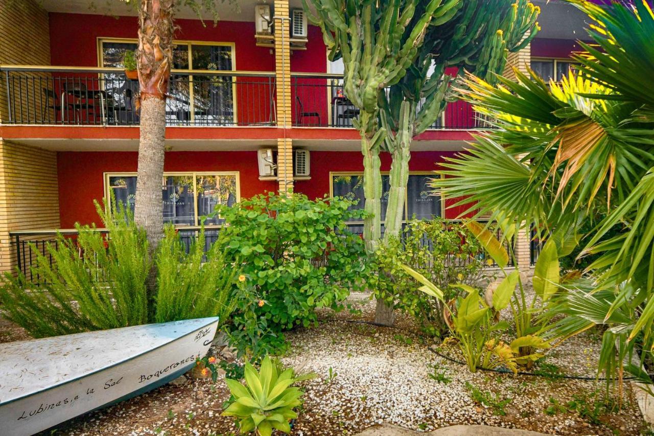 Apartamentos Palasiet Benidorm Buitenkant foto